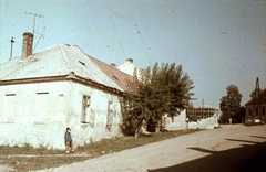 Magyarország, Veszprém, Csutorás utca - Galamb (Táborállás) utca sarok., 1966, Herth Viktória dr, Bodó Emma, színes, utcakép, antenna, villanyoszlop, Fortepan #76515