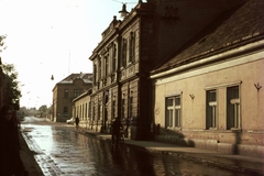 Magyarország, Veszprém, Brusznyai Árpád utca (Bajcsy-Zsilinszky út) az Almádi út felé nézve., 1968, Herth Viktória dr, Bodó Emma, színes, utcakép, Fortepan #76554