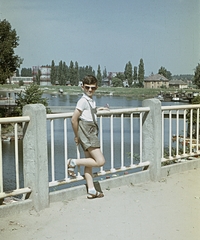 Magyarország, Baja, a Szentháromság (Béke) tér északnyugati sarka, háttérben a Sugovica (Kamarás-Duna) öblén túl a gázgyár., 1968, Erky-Nagy Tibor, színes, híd, Fortepan #76733