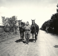 1940, Klenner Aladár, ló, Fortepan #76833