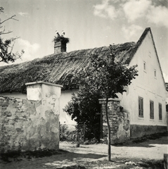 1940, Klenner Aladár, gólya, Fortepan #76838