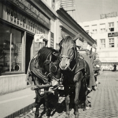 Szlovákia, Érsekújvár, Milan Rastislav Štefánik (ekkor Széchenyi) utca a Fő tér felől a Törökszalasztó utca (Turecká ulica) felé nézve., 1941, Klenner Aladár, ló, Fortepan #76907