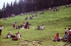 Románia,Erdély, Csíkszereda, Csíksomlyó (ekkor önálló), a Nagy- és Kissomlyó közötti térség, az úgynevezett Nyereg., 1988, tm, színes, zarándokhely, Fortepan #77265