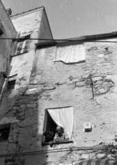 1990, tm, dog, leaning out of the window, Fortepan #77543