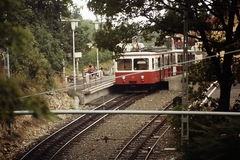 Magyarország, Széchenyihegy, Budapest XII., a Fogaskerekű végállomása., 1975, Ed Sijmons, színes, fogaskerekű vasút, Budapest, Fortepan #77809