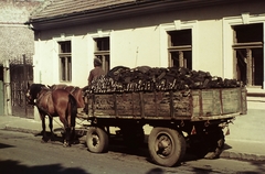 Magyarország, Szentendre, Kossuth Lajos utca 8., 1975, Ed Sijmons, színes, lovaskocsi, brikett, szenesember, Fortepan #77823