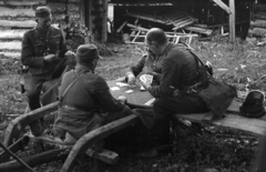 Magyar-lengyel határsáv. A felvétel a lengyel katonák Magyarországra és Romániába történő átmenekítésekor készült., 1939, Berkó Pál, kártyajáték, szán, lengyel katona, Fortepan #78274