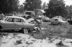 1976, Berkó Pál, fürdőruha, Trabant-márka, Lada-márka, Zaporozsec-márka, GAZ M21 Volga, gyümölcsárus, FSO Warszawa, Fortepan #78403