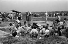 Magyarország, Buzsák, Csisztapuszta., 1957, Berkó Pál, napernyő, lovaskocsi, fürdőzés, gyógyfürdő, Fortepan #78718