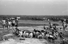 Magyarország, Buzsák, Csisztapuszta., 1957, Berkó Pál, napernyő, lovaskocsi, fürdőzés, Fortepan #78719