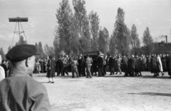 Magyarország, Budapest VIII., Fiumei úti Nemzeti Sírkert (Kerepesi temető), Kállai Éva temetése 1957. április 18-án., 1957, Berkó Pál, Budapest, háttal, munkásőr, koporsó, gyászhuszár, Fortepan #78780