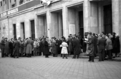 Magyarország, Budapest VIII., II. János Pál pápa (Köztársaság) tér. A Hruscsov vezette szovjet párt- és kormányküldöttségre várakozók. A felvétel 1958. április 4-én, a Köztársaság téri pártház védelmében elesettek emléktáblájának koszorúzásakor készült., 1958, Berkó Pál, Budapest, április 4, Fortepan #78978