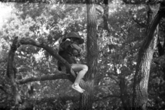 1946, Berkó Pál, gas mask, barefoot, sitting on a tree, kid, Fortepan #78979