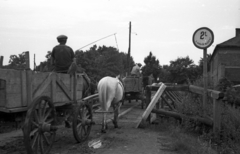 Magyarország, Kőszeg, a Gyöngyös patak feletti híd a Szappangyárnál., 1950, Berkó Pál, szekér, fogat, fahíd, Fortepan #79062