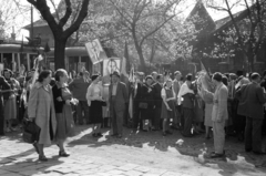 Hungary, Budapest XIV., Thököly út a Kövér Lajos utca és a Nagy Lajos király útja között, háttérben a 171. és 169., 1955, Berkó Pál, tram, march, Red Star, Budapest, public transport line number, Vyacheslav Molotov-portrayal, Fortepan #79231