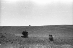 1946, Berkó Pál, chariot, Horse-drawn carriage, Fortepan #79294