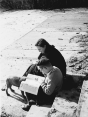 1956, Berkó Pál, dog, reading, stairs, sitting on stairs, Fortepan #79461