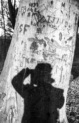 1944, Berkó Pál, swastica, photography, shadow, shadow selfie, tree trunk, self-portrait, Fortepan #79502