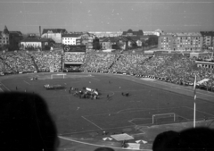 Hungary, Népstadion, Budapest XIV., Magyarország - Szovjetunió (1:1) válogatott labdarúgó-mérkőzés, 1955. szeptember 25., 1955, Berkó Pál, football, soccer team, soccer field, Budapest, Fortepan #79558