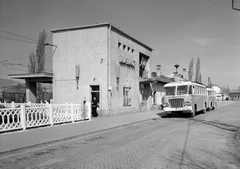 Magyarország, Szentendre, Dózsa György út, MÁVAUT autóbusz-pályaudvar, balra a HÉV végállomás., 1961, UVATERV, autóbusz, magyar gyártmány, Ikarus-márka, Ikarus 620/630, ÁMG-márka, autóbuszállomás, Fortepan #79672