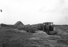 Hungary, Lepsényi Gazdasági Vasút., 1956, UVATERV, Hungarian brand, narrow-gauge railway, C-50 rail tractor, Fortepan #79706