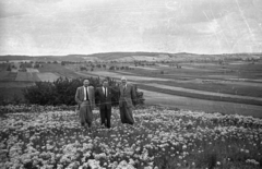 1950, UVATERV, látkép, férfiak, csípőre tett kéz, virágszőnyeg, rét, zsebredugott kéz, hátratett kéz, bricsesz, öltöny, Fortepan #79888