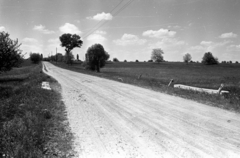 1950, UVATERV, országút, Fortepan #80196