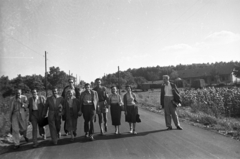 Magyarország, Budaörs, Gyár utca., 1953, UVATERV, nők, országút, férfiak, társaság, Fortepan #80282