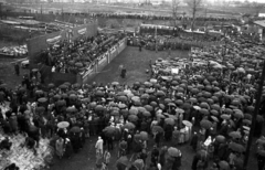 Magyarország, Baja, a Türr István híd újjáépítése utáni átadási ünnepség., 1950, UVATERV, ünnepség, politikai dekoráció, esernyő, tribün, eső, Fortepan #80339