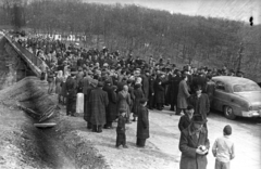 Magyarország, Zengővárkony, a 6-os főút Bolond úti völgyhídjának avatása a község határában., 1954, UVATERV, avatás, automobil, viadukt, Mercury-márka, Fortepan #80346