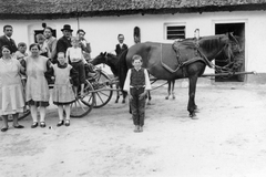 1937, Fortepan, ló, udvar, hintó, csoportkép, nők, férfiak, lovaskocsi, fogat, nádtető, gyerekek, kötény, istálló, Fortepan #8100