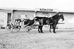 Magyarország,Balaton, Szántód, rév., 1936, Fortepan, ló, szekér, Fortepan #8195