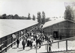 Magyarország, Budapest XIV., Gizella út, a Millenniumi kiállítás látogatóinak elszállásolására épült barakktelep. A felvétel 1896-ban készült. A kép forrását kérjük így adja meg: Fortepan / Budapest Főváros Levéltára. Levéltári jelzet: HU.BFL.XV.19.d.1.10.022, 1900, Budapest Főváros Levéltára / Klösz György fényképei, Klösz György, Budapest, Ezredéves Országos Kiállítás, Fortepan #82871