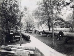 Magyarország, Városliget, Budapest XIV., "Millenniumi kiállítás: Hatalmas farönkök fotója (Erdészeti pavilon mellett). A felvétel 1896-ban készült." A kép forrását kérjük így adja meg: Fortepan / Budapest Főváros Levéltára. Levéltári jelzet: HU.BFL.XV.19.d.1.10.214, 1900, Budapest Főváros Levéltára / Klösz György fényképei, Klösz György, farönk, Budapest, Ezredéves Országos Kiállítás, Fortepan #83048