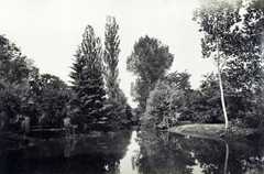 Magyarország, Sorokpolány, Sorokújfalu (ekkor önálló, ma a község része), a Szapáry-kastély parkja és tava. A felvétel 1895-1899 között készült. A kép forrását kérjük így adja meg: Fortepan / Budapest Főváros Levéltára. Levéltári jelzet: HU.BFL.XV.19.d.1.11.047, 1900, Budapest Főváros Levéltára / Klösz György fényképei, Klösz György, park, tó, Fortepan #83139