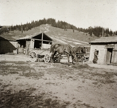 1917, Ebner, horse, chariot, Horse-drawn carriage, mountain, soldier, pine forest, Fortepan #83657