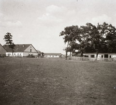 1926, Ebner, tanya, léckerítés, major, gazdaság, Fortepan #83683