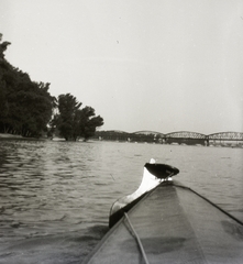 Hungary, Budapest III., Újpesti vasúti híd az Óbudai-sziget mellől nézve., 1931, Ebner, bridge, river, railway bridge, Budapest, Duna-bridge, Fortepan #83708