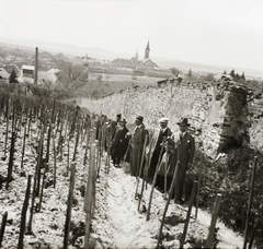 Magyarország, Mór, a város látképe a Hársfa utca fölötti szőlőkből, háttérben a Szent Kereszt templom és a Szentháromság templom., 1932, Ebner, csoportkép, férfiak, kilátás, szőlőtőke, téglakerítés, Fortepan #83718