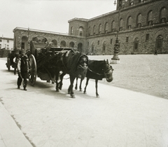 Olaszország, Firenze, Pitti palota (Palazzo Pitti)., 1934, Ebner, múzeum, palota, Filippo Brunelleschi-terv, Bartolomeo Ammanati-terv, Fortepan #83745