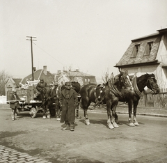 Magyarország, Budapest XII., Határőr (Hieronymi) út, jobbra a 42., távolban középen a Bíró utca 12. számú ház., 1935, Ebner, felirat, lovaskocsi, szállítás, lószerszám, Budapest, Fortepan #83794