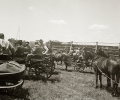 1936, Ebner, ló, lovaskocsi, fogat, vásár, ostor, Fortepan #83916