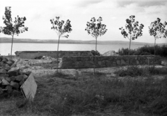 Magyarország, Balatonszárszó, 1963, Morvay Kinga, Morvay Lajos, Fortepan #84326