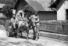 Magyarország, Miskolc, Felsőhámor, Losonczy István utca., 1965, Morvay Kinga, Morvay Lajos, szódás, kordé, szódásüveg, Fortepan #84355