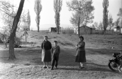 1960, Morvay Kinga, Morvay Lajos, motorkerékpár, Fortepan #84367