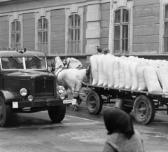 Hungary, Nagykanizsa, Zrínyi Miklós - Ady Endre utca sarok, háttérben a Zrínyi Miklós Általános Iskola., 1971, MHSZ, Horse-drawn carriage, commercial vehicle, Csepel-brand, number plate, Fortepan #84541