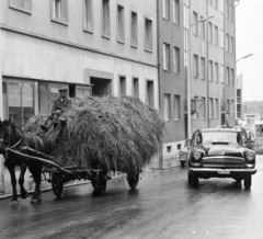 Hungary, Nagykanizsa, Zrínyi Miklós utca a Zárda utca felé nézve, a szénásszekér mögött a MAORT-bérház bejárata látható., 1971, MHSZ, Horse-drawn carriage, Fortepan #84542