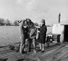 Magyarország, Budapest XI., Lágymányosi öböl, nehézbúvár beöltöztetése a Kopaszi gátnál kikötött uszályon., 1978, MHSZ, búvár, Budapest, 427 Z hajó, Fortepan #84551