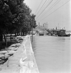 Magyarország, Szeged, Tisza-part a Körösy József Gazdasági Szakképző Iskola környékén, háttérben a Pick szalámigyár. A felvétel az 1970. évi tavaszi árvízkor készült., 1970, MHSZ, árvíz, légvezeték, homokzsák, Fortepan #84574