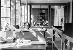 1946, Fortepan, portrait, workplace, office, light, employee, window, workshop, lady, divided windows, Fortepan #8462